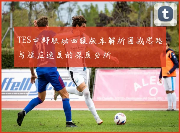 TES中野联动回暖版本解析团战思路与适应速度的深度分析